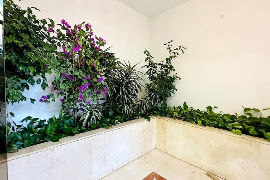 3Min To The Beach 1 Bedroom Marbella Centre Ngoại thất bức ảnh